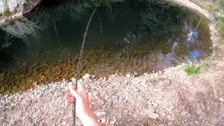 Gold Coast Hinterland Land Base Fishing For Australian Bass On Surface Lures.