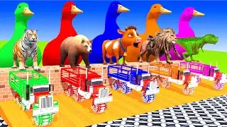 5 Giant Duck Cartoon,Tiger,Cow,Zebra,Kangaroo,Dog,Cat Wild Animals Crossing Fountain 2023