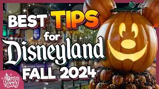 8 Things You NEED TO KNOW for Visiting Disneyland in Fall 2024