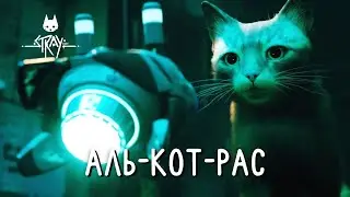 АЛЬ-КОТ-РАС - Stray #8