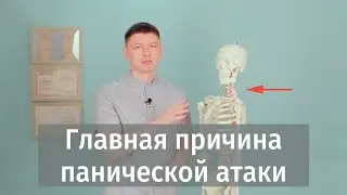 ПАНИЧЕСКИЕ АТАКИ: ГЛАВНАЯ ПРИЧИНА! Что делать с приступами и как вылечить? Смотрим полностью