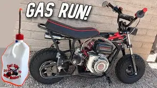 Street Legal Mini Bike Gets Gas! Predator 212!