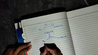Prostaglandins and leukotrienes, 