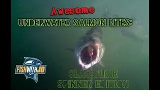 Awesome Underwater Salmon Strikes (Slack Line Spinner Bites Edition)