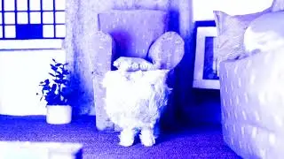 O PULO DO GATO