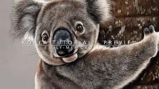 Koala Tutorial Preview - #pasteltutorial #pastelartist #beginnerartists #pastelart #softpastels