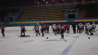 Драка хоккеистов на детском турнире. Металлург Новокузнецк - Акулы Ленинск-Кузнецкий