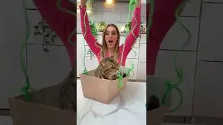 COSTRUISCO un’ALTALENA per GATTI!🙀😰😻 