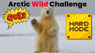 How Well Do You Know The Wild Arctic?| Hard level