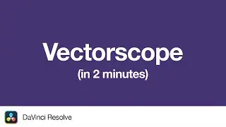 How to read the Vectorscope in DaVinci Resolve | 2 Minute Tutorial