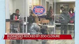 Businesses near National Zoo battle 3 weeks without visitor traffic amid government shutdown