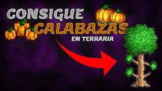 ✅Como CONSEGUIR CALABAZAS en TERRARIA🎃