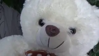 Toy Teddy Bear