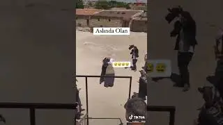 #shotrs