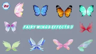 GREEN SCREEN FAIRY WINGS EFFECTS 3