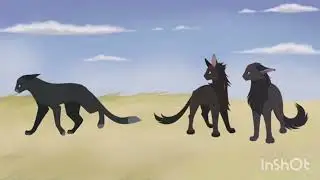 Коты Воители - Хобби -♡Заказ♡