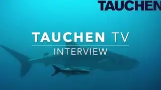 Interview nach Haiattacke auf Taucher in Südafrika