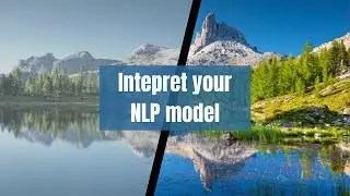 Transformer Model Interpretability - Tutorial