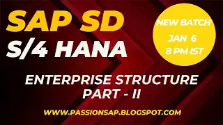 SAP SD TRAINING - SAP SD ENTERPRISE STRUCTURE PART 2