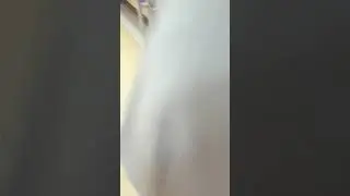 Рус  Агро Водный стадион свежий мясо