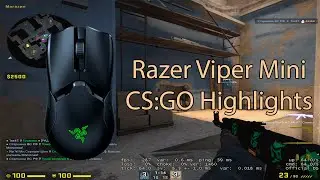 (CS:GO Highlights) Razer Viper Mini