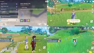GENSHIN IMPACT Omni-Ubiquity Net - Catch the animals, New Achievement & become Companions in Tea Pot