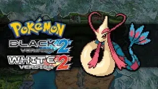 Pokemon Black 2 and White 2 | How To Get Milotic