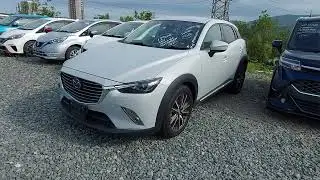 = Car market Zelenka Prices 08/17/2025 =