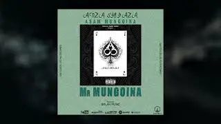 01  MR MUNGOINA