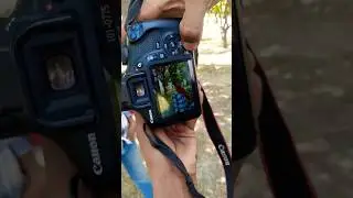 Best pose Outdoor photo shooting green background #youtubeshorts #shorts #trending #youtube