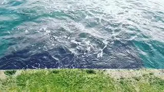Море внутри меня синее,волны внутри меня сильные|Черное море|Сочи|Адлер