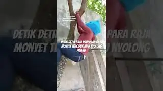PAKE ACARA TERCIDUK PULA 
