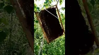 585  Сила Воска и его  Магия!!!