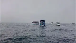 Шрі Ланка, полювання на кита