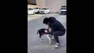 KÖPEKLERE FISILDAYAN ADAM