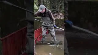Lake maintenance
