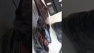 reçu d'une autre.... pour destruction