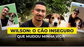 Meet Wilson: The Rescue Dog Who Changed My Life Forever