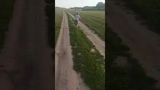 Два брата - акробата😍#сын #сыночки #многомама #многодетка #shorts #mom #moments
