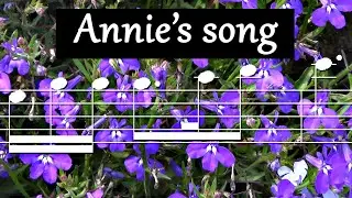 Annie's song - La flûte sur un coin de rue