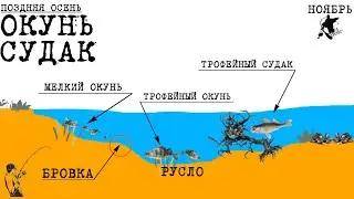 ОКУНЬ и СУДАК. Поздней осенью. Ты ОБЯЗАН это знать ❗❗❗ #рыбалка #окунь #судак