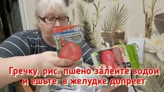 Всю осень ходила по городу и собирала, как чумная... Цены на семена зашкаливают...