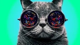 Omnivox - Live Psytrance Mix 2017 ᴴᴰ ૐ Psytrance Nation ૐ MrLemilica2 ૐ