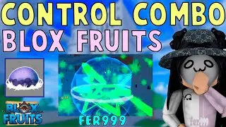 The Most Satisfying Combo in Blox Fruits