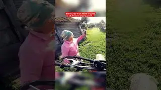Заблудились в лесу 