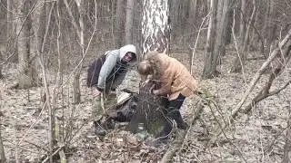 Собираем берёзовый сок