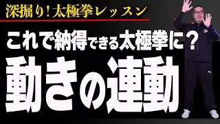 絶妙なポイント？動きの連動【深掘り太極拳レッスン】心地良い！面白い！初心者からベテランまで誰でも気軽にできる中村げんこうの太極拳、簡化24式太極拳、健康、養生、瞑想・陰陽・癒し・生きがい・人生