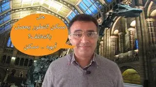 التطور يحتاج أحيانا إلى التخلف ... لكن متى؟