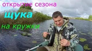 Открытие сезона, ловля щуки на кружки и спиннинг