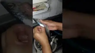 Pekeng Isda kumakalat sa area ng TAGUIG